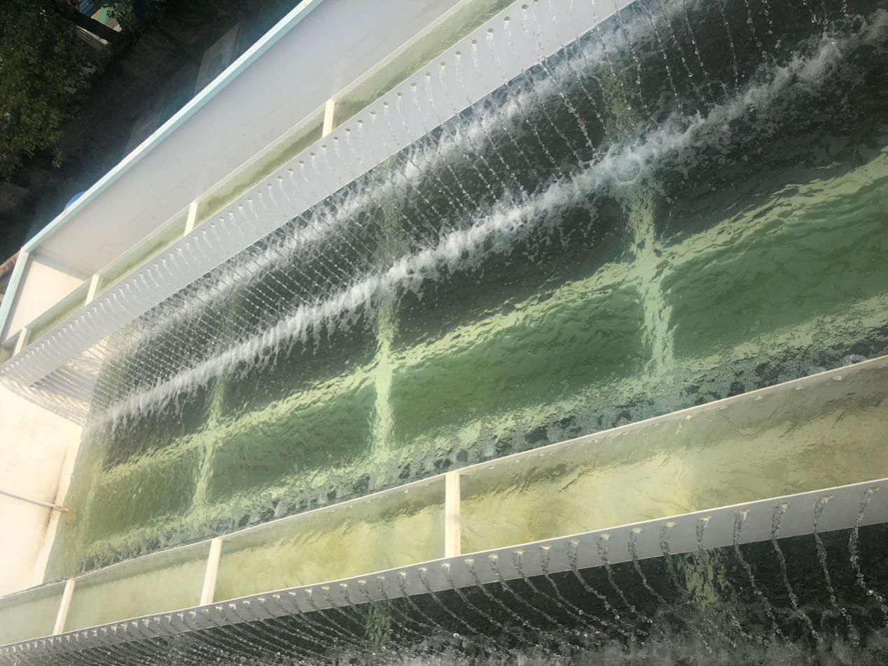 鹤壁FMBR技术是如何助推农村污水处理的